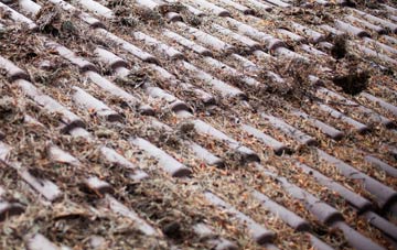 Sansaw Heath roof cleaning companies